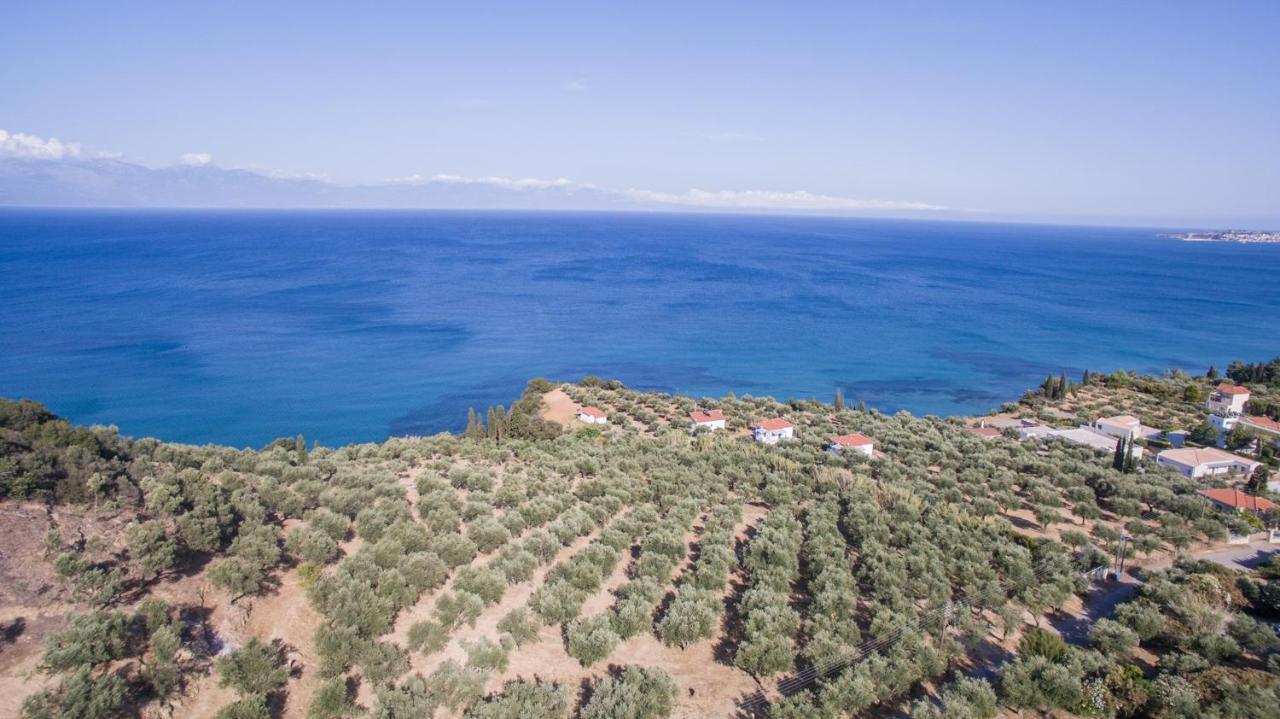 Κτήμα Παπαβασιλόπουλος 2 - Villa Koroni  Exterior photo